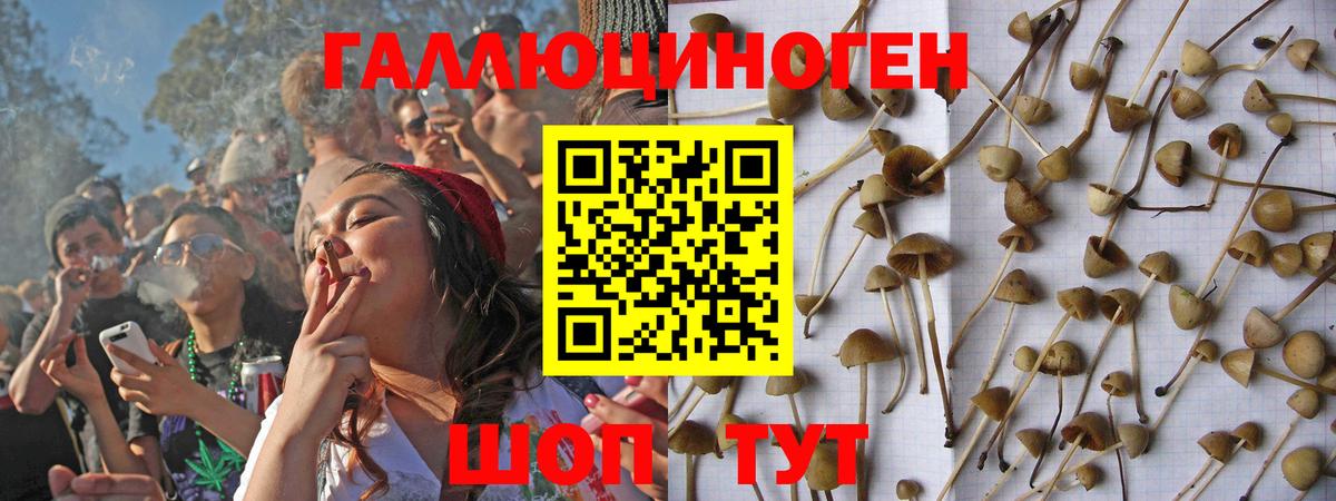 Псилоцибиновые грибы ЛСД Находка
